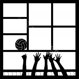 Volleyball Net